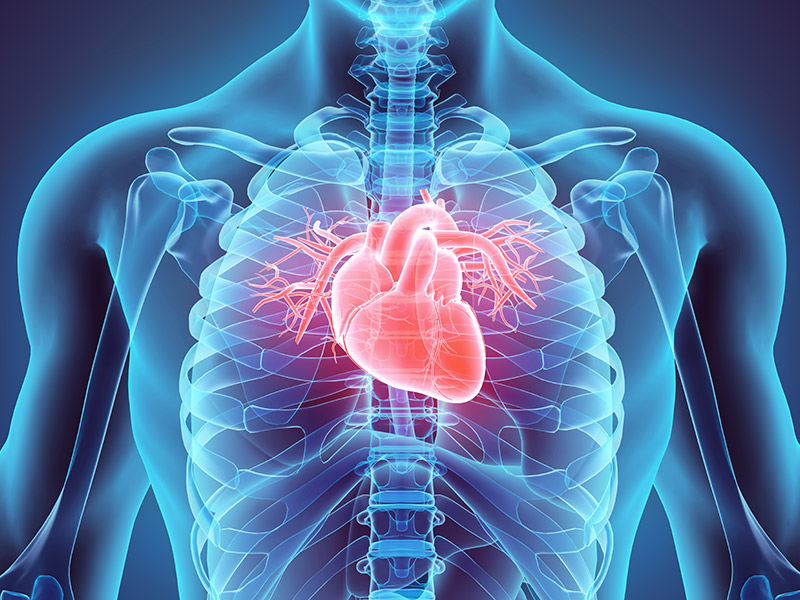 Cardio-Thoracic Surgery